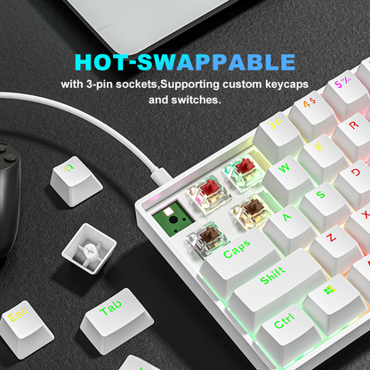 TK61 60% RGB USB wired Swappable Switch Gaming Mechanical Keyboard